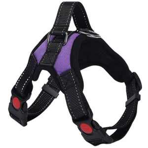 purple dog harness with handle