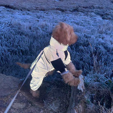 Load image into Gallery viewer, Fully reflective dog mud suit
