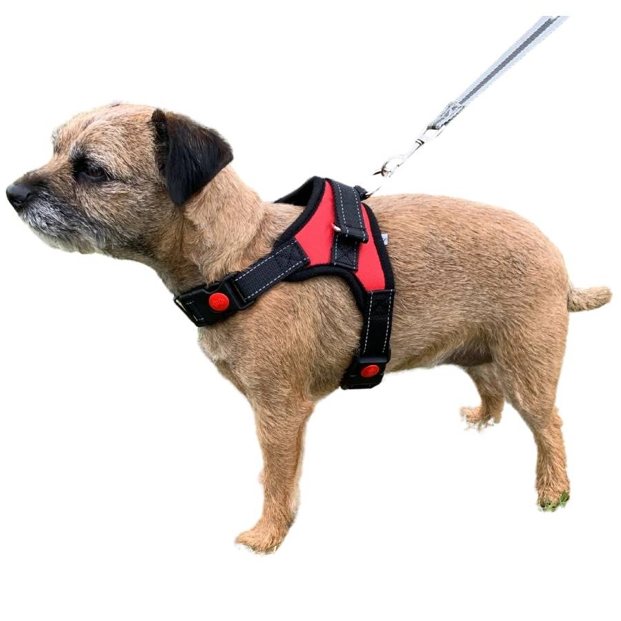Dog Harnesses with Handle - Mesh Back with Reflective all round
