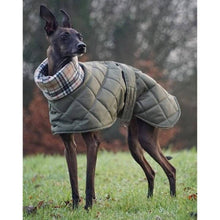Load image into Gallery viewer, the trendy greyhound coat for italian greyhounds. available in whippet and greyhound sizes too. 
