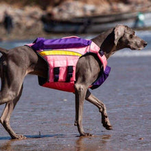 Load image into Gallery viewer, pink life vest for dogs uk