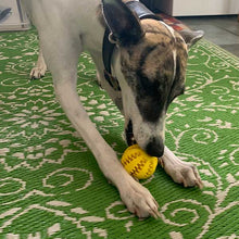 Load image into Gallery viewer, Lottie with yellow molar ball