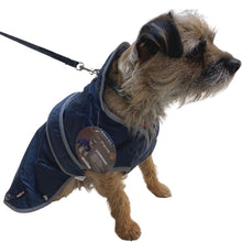 Load image into Gallery viewer, navy blue dog coat with harness hole