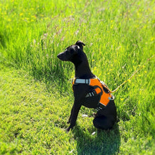 Load image into Gallery viewer, puppy whippet harness escape proof sighthound harness with 3 straps