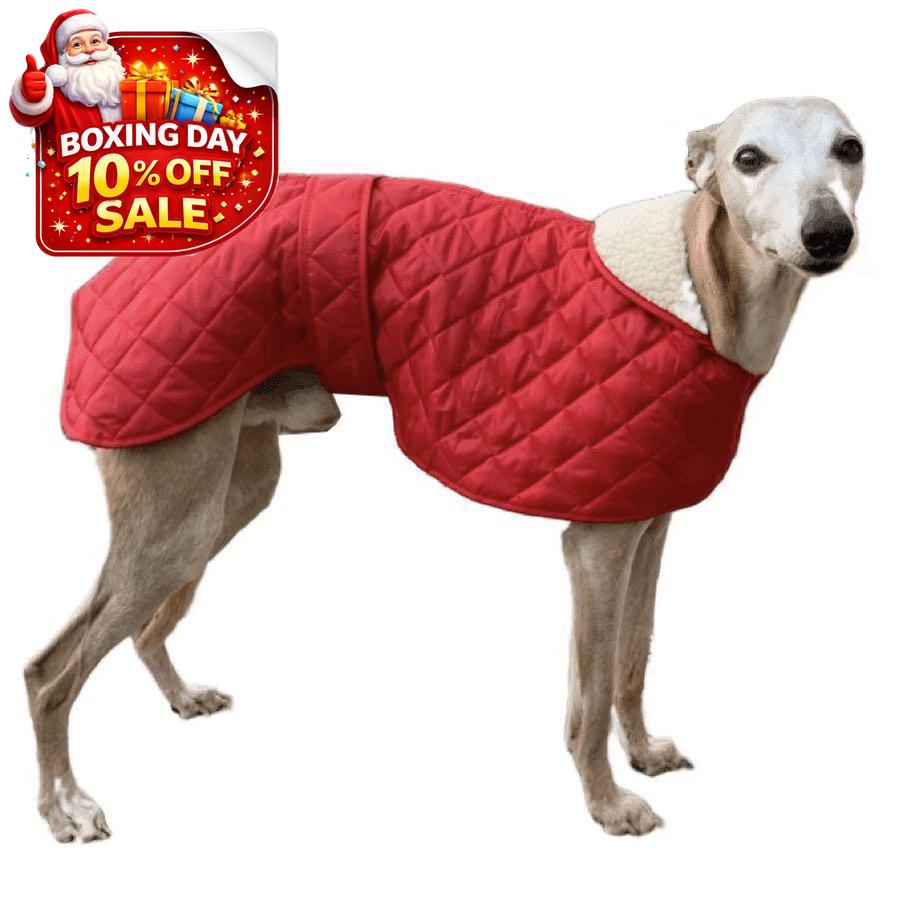 Quilted Greyhound Coat / Whippet Coat. Dog Coats for Sighthounds