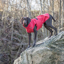Load image into Gallery viewer, Vimy & DryDogs Lightweight Waterproof Raincoat with Harness Hole Zip