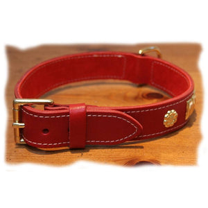 Suede backed, red leather and brass, Staffordshire bullterrier collar