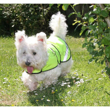 Load image into Gallery viewer, Westie wearing summer lightweight reflective dog coat | DryDogs.co.uk
