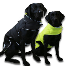 Load image into Gallery viewer, reversible padded dog coat with harness hole winter
