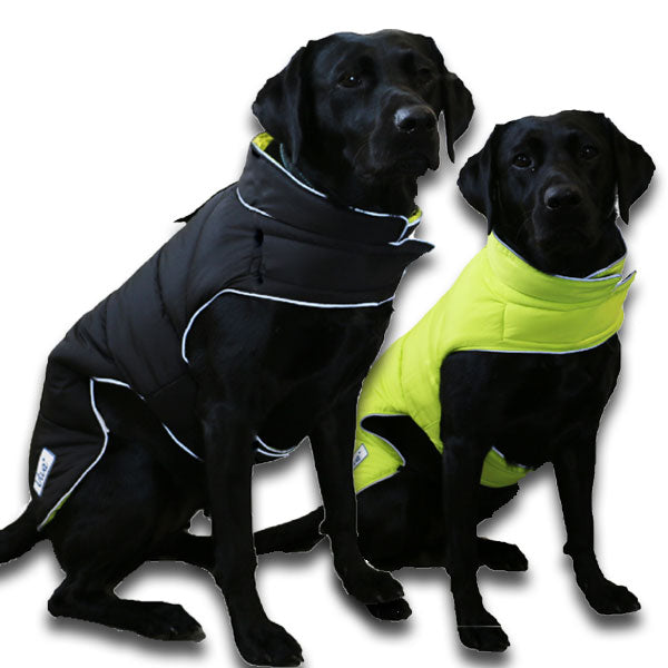 Waterproof dog store coats for labradors