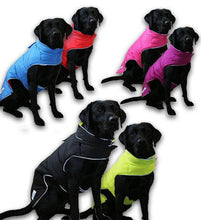 Load image into Gallery viewer, Dog Coat - reversible with harness hole and leg straps
