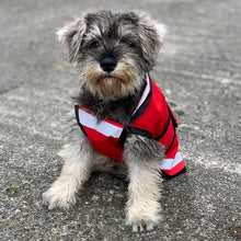 Load image into Gallery viewer, Salty the miniature Schnauzer puppy wearing the unlined lightweight dog coat for summer
