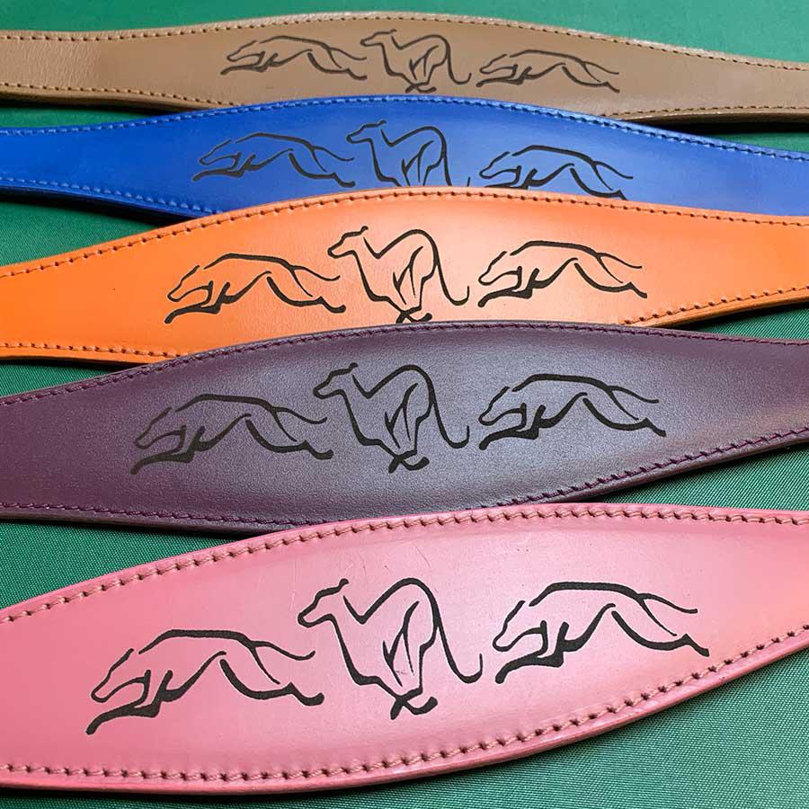 running hound embossed greyhound whippet padded leather collars. the trendy whippet