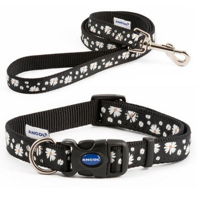 Ancol Black Daisy design dog collar and lead sets
