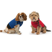 Load image into Gallery viewer, Dog jumper with scarf