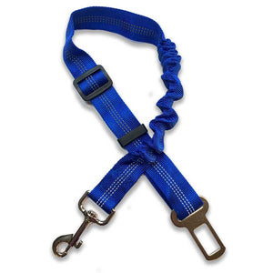 Blue trigger hook to car seatbelt, elasticated leash/lead fastener