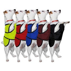 underbelly dog coats colours available red hivis yellow royal blue wine and black
