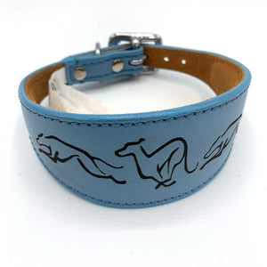 what is the best whippet collar uk