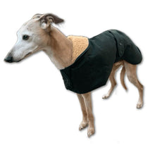 Load image into Gallery viewer, winter whippet wear for the trendy whippet or greyhound in your life