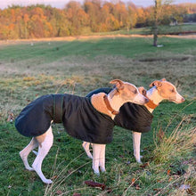 Load image into Gallery viewer, trendy whippet waxed green greyhound whippet coats