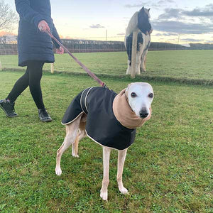 which greyhound coats can be used with a harness?