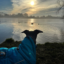 Load image into Gallery viewer, greyhound coat with chest protection