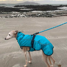 Load image into Gallery viewer, dog coat with harness hole. suitable for greyhounds, whippets and lurchers