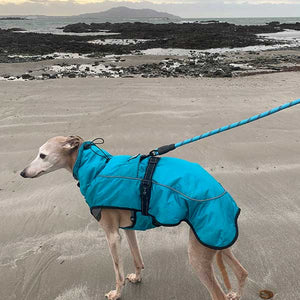 dog coat with harness hole. suitable for greyhounds, whippets and lurchers