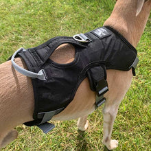 Load image into Gallery viewer, black escape proof whippet greyhound harness
