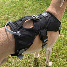 Load image into Gallery viewer, black escape proof whippet greyhound harness