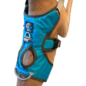 back of blue large greyhound whippet sighthound escape proof harness with front control
