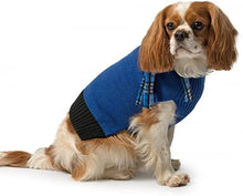 Load image into Gallery viewer, Does my dog need a jumper in winter?