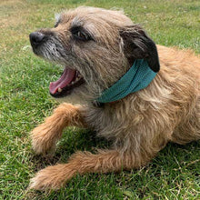 Load image into Gallery viewer, Border Terrier cooling bandana