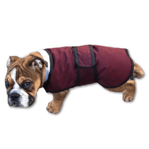 what is the best dog coat for summer