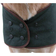 Load image into Gallery viewer, barbour whippet coats
