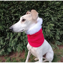 Load image into Gallery viewer, Greyhound/Whippet Christmas Snood
