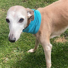 Load image into Gallery viewer, Sighthound cooling bandana