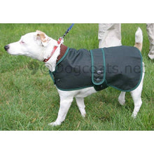 Load image into Gallery viewer, jack russell coats - hunter waxed jacket - green barbour dog coat

