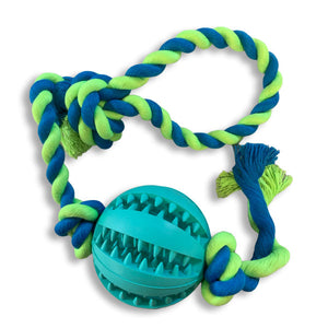 Green/Blue molar ball rope dog toy