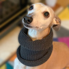 Load image into Gallery viewer, wool whippet snood - ideal for keeping any chilly whippet warmer in cold weather
