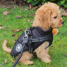 Load image into Gallery viewer, Cavapoo dog coat with built in harness