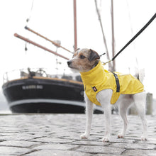 Load image into Gallery viewer, Dog Coat with Harness Hole and Leg Straps
