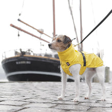 Load image into Gallery viewer, Dog Coat with Harness Hole and Leg Straps