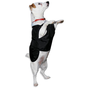 dog coat with belly protector. jack russell stood on back legs showing the underbelly dog coat off 