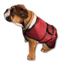 Load image into Gallery viewer, waterproof summer dog coat with belly protection
