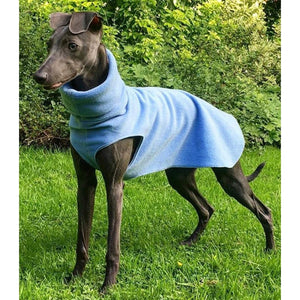 light blue fleece whippet, greyhound, iggy, italian greyhound, lurch jumper, sweater, pjs, pyjamas