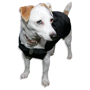 dog coat with chest protection. black on mika the jack russell also suitable for border terriers 