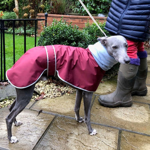 greyhound coat with built in snood made from warm polar fleece