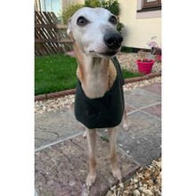 Load image into Gallery viewer, green waxed greyhound or whippet coat by cosipet dog coats