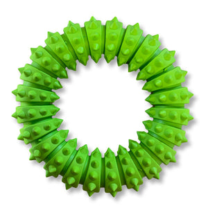 teeth care for your dog. green rubber dog ring toy